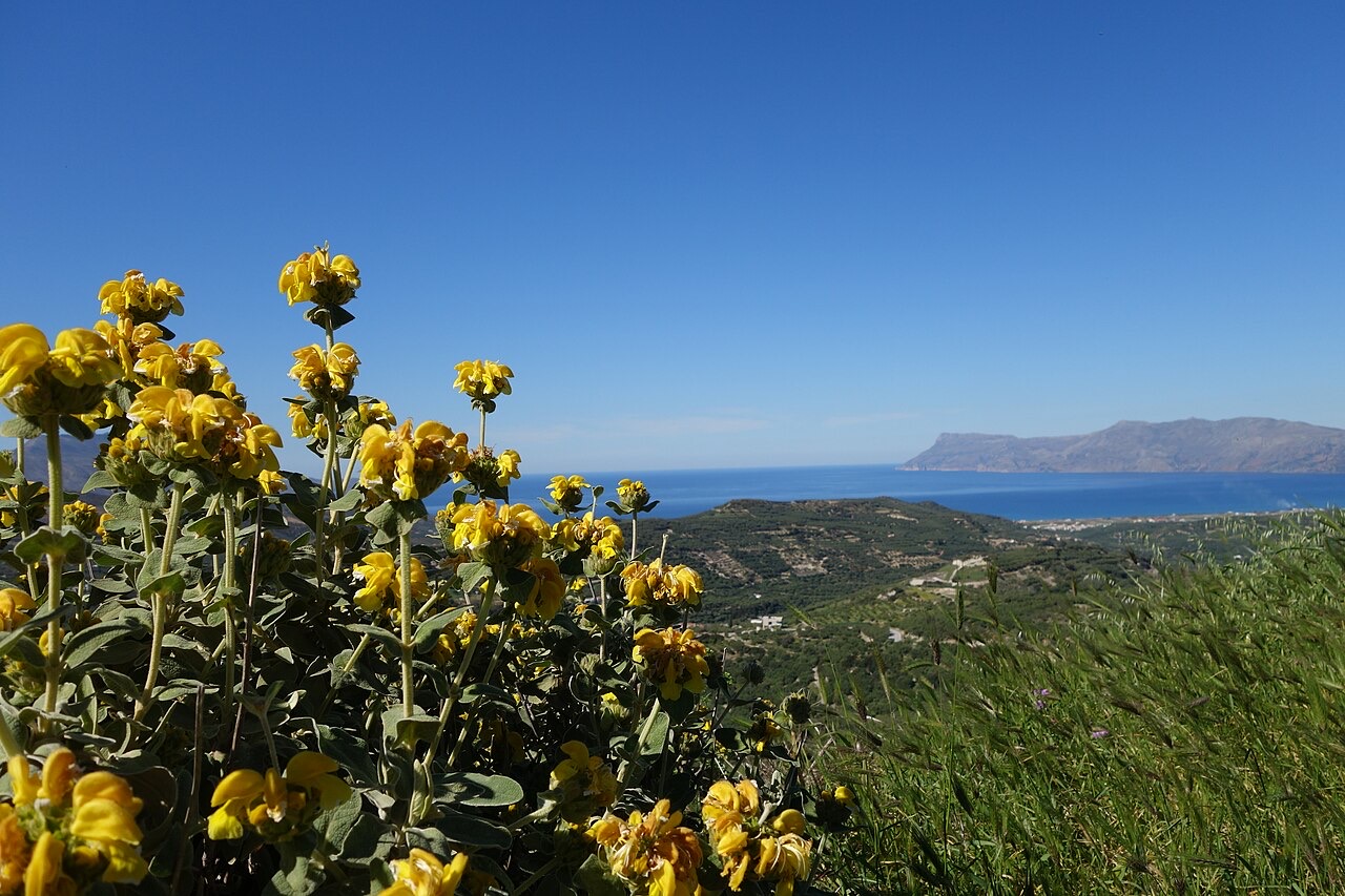 Kissamos: Gateway to Balos, Falassarna and Wine Country