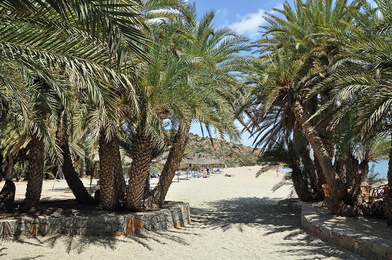Sitia and the Far East: Palm Forests, Dead Cities and Empty Roads