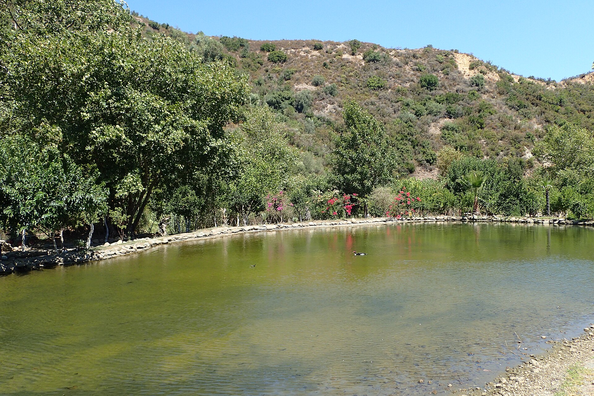 Botanical Park & Gardens of Crete
